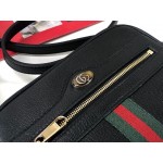 Gucci Ophidia mini bag 517350 black