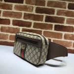 Gucci Ophidia GG belt bag 574796