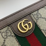 Gucci Ophidia pouch 625549