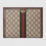 Gucci Ophidia pouch 625549