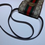 Gucci Ophidia mini bag 625757