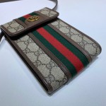 Gucci Ophidia mini bag 625757