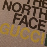 615061 The North Face x Gucci Cotton Sweatshirt Brown